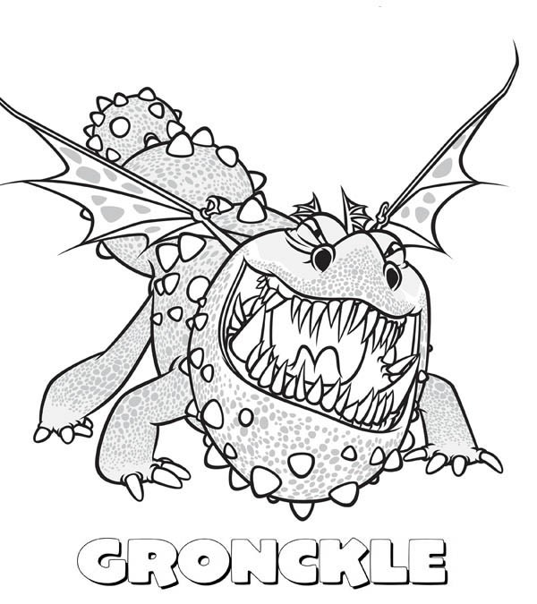 600x675 Good How To Train Your Dragon Coloring Pages With Additional