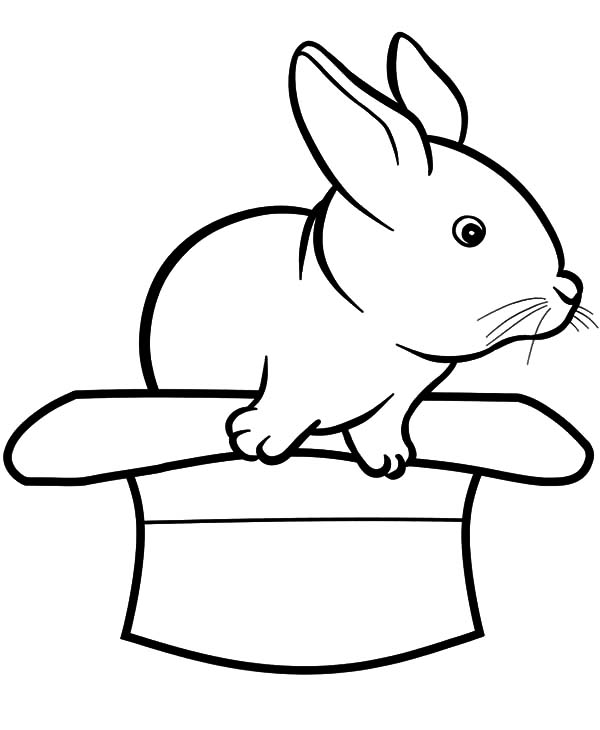 600x730 Rabbits Come Out From A Hat Coloring Pages Coloring Sun
