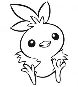 272x302 Torchic Coloring Pages