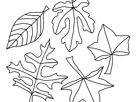 440x330 Coloring Pages Toronto Maple Leafs Leaf Multiple Leaves Of Page