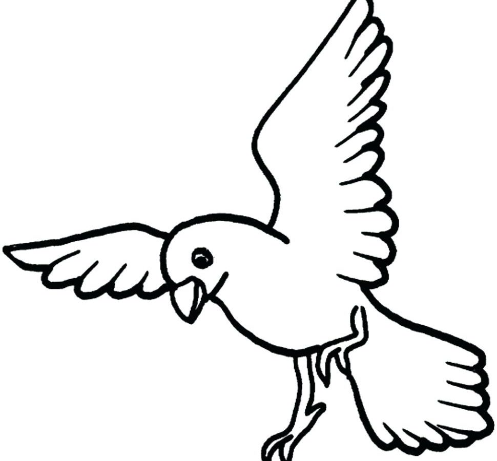 970x900 Dreaded Blue Jay Coloring Pages Bird Pagelyingor Kids Jays Logo