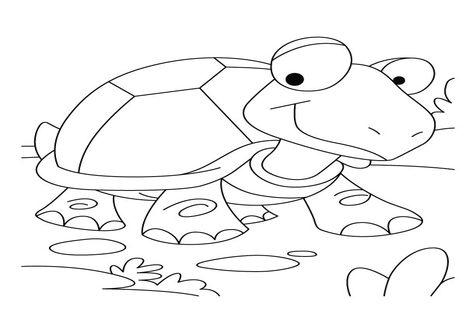 476x333 The Tortoise And Hare Coloring Pages Page Image Clipart Images