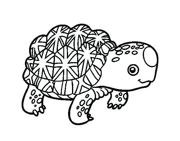 600x470 Tortoise Coloring Page The Tortoise And The Hare Coloring Pages