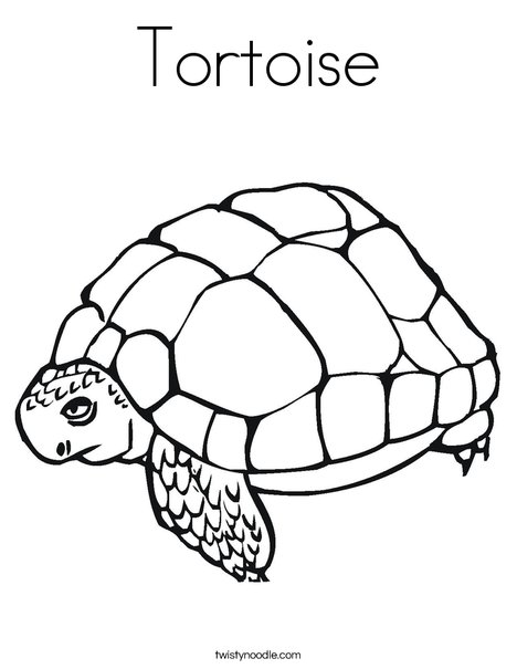 468x605 Tortoise Coloring Page