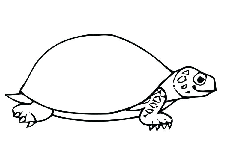 750x531 Tortoise Coloring Page Coloring Pages Turtles Ninja Big Head Small