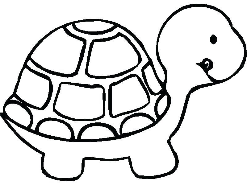 800x600 Tortoise Coloring Page Tortoise Coloring Page Tortoise Coloring