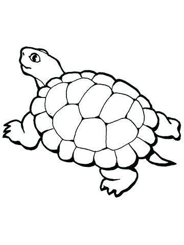 360x480 Tortoise Coloring Page Walking Tortoise Coloring Page Tortoise