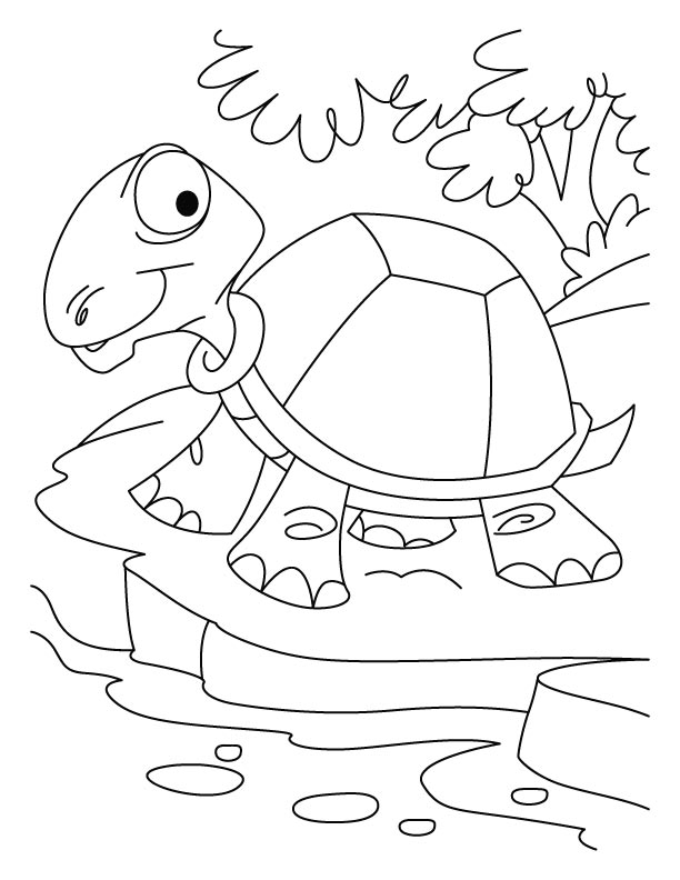 612x792 Tortoise Coloring Pages Thirsty