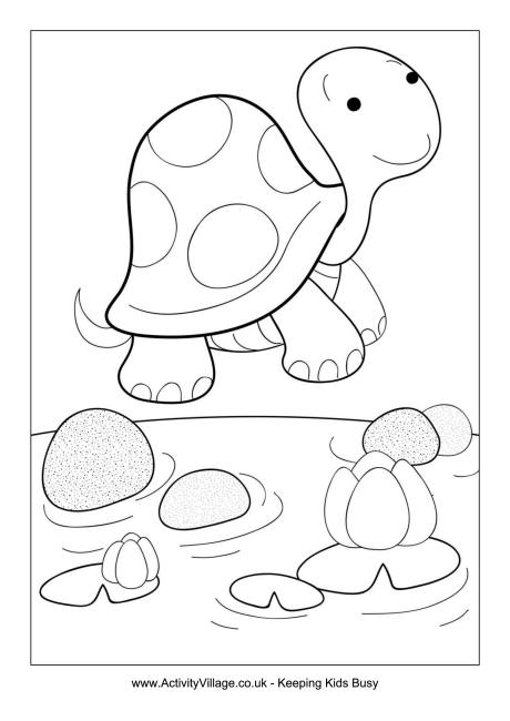 460x650 Tortoise Colouring Page