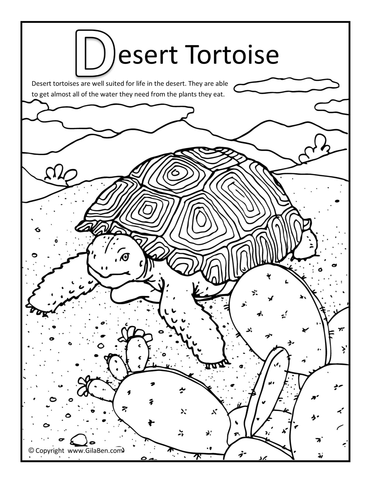 1275x1650 Desert Tortoise Coloring Page