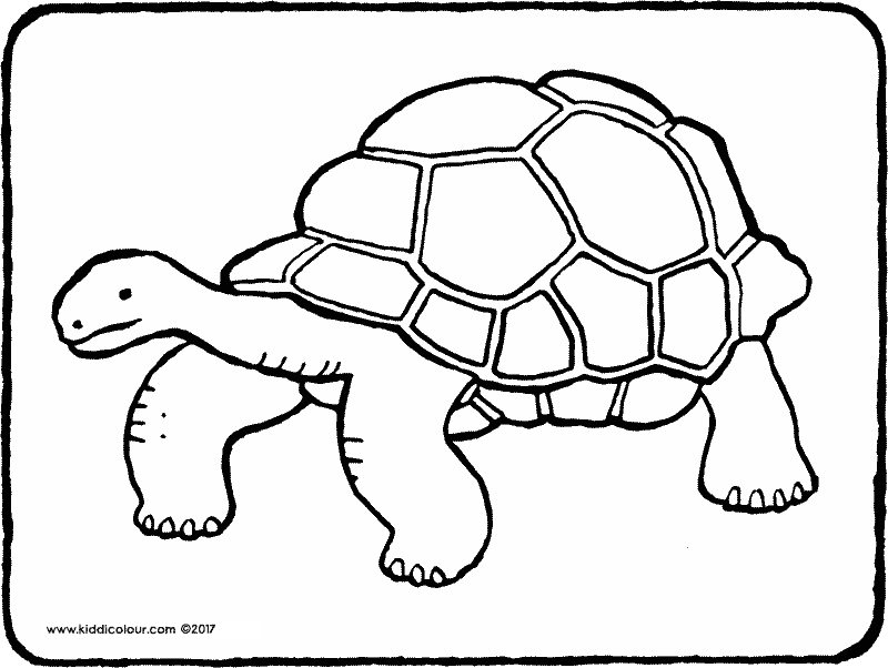 800x602 Nature Colouring Pages