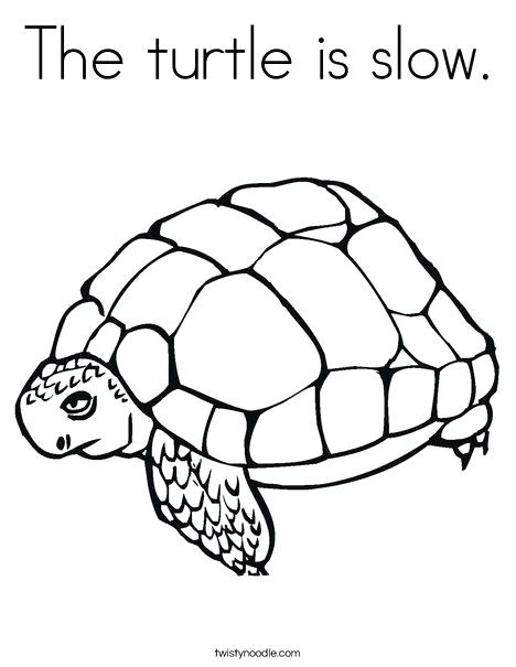 468x605 Tortoise Coloring Page