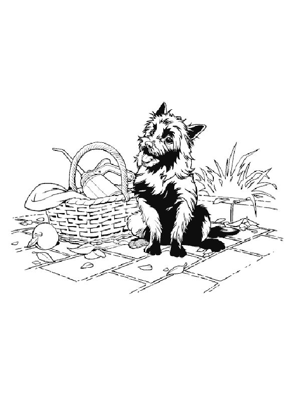 Toto Coloring Pages