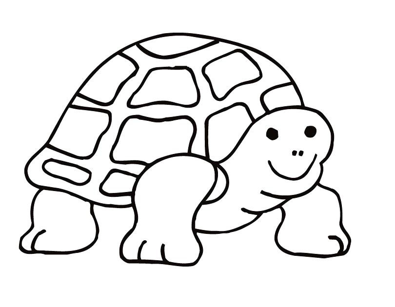 810x630 Pin Coloring Page