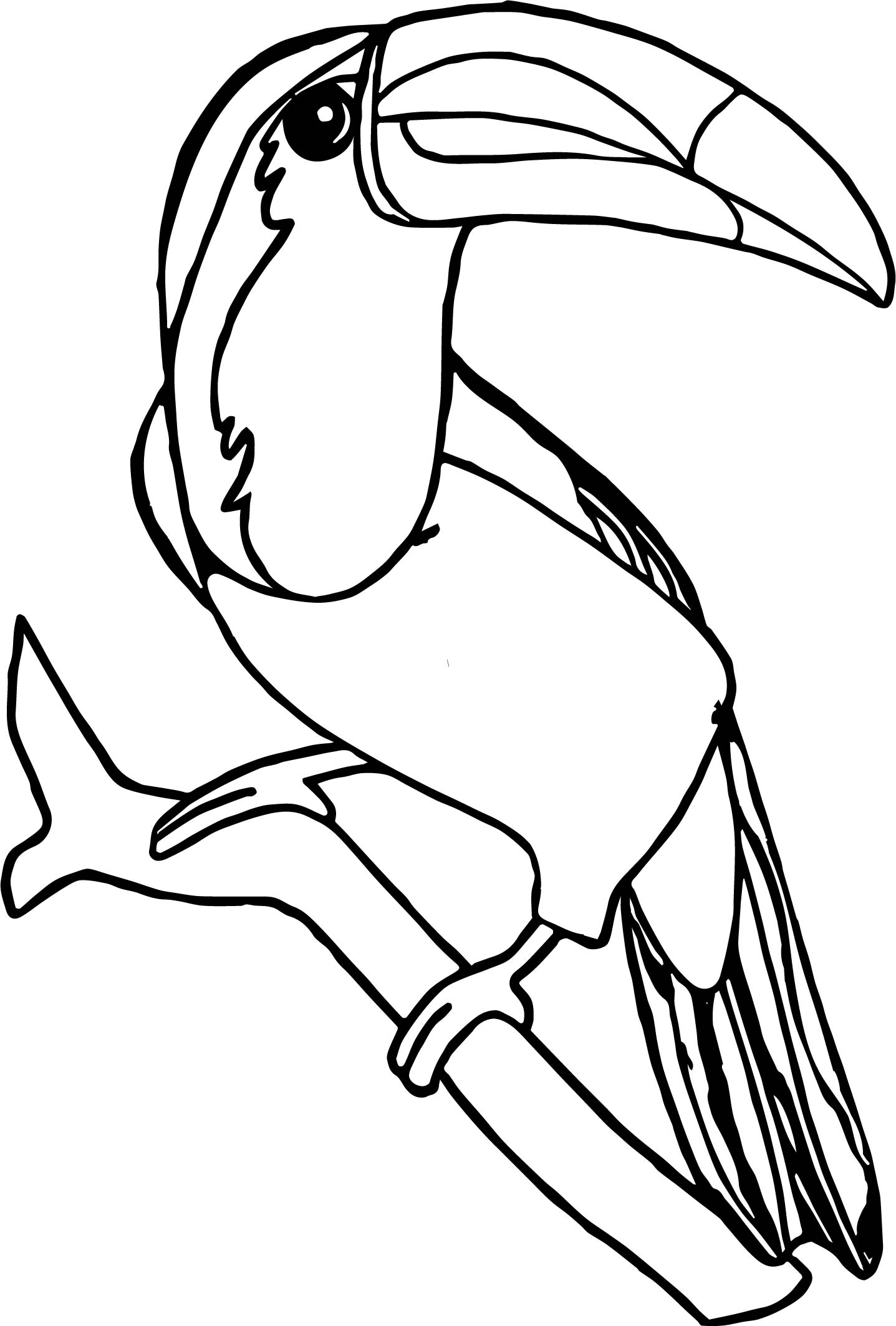 1437x2125 Toucan Animal Coloring Pages Toucan Animal Coloring Pages