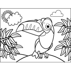 Toucan Coloring Page