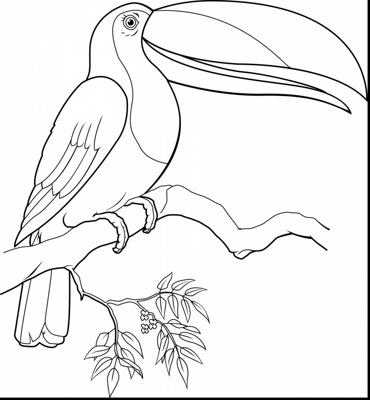 1525x1650 Toucan Sam Coloring Pages Download