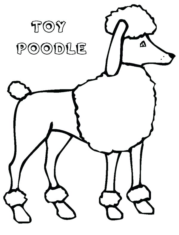 600x788 Poodle Coloring Page A Tall Type Toy Poodle In Action Coloring