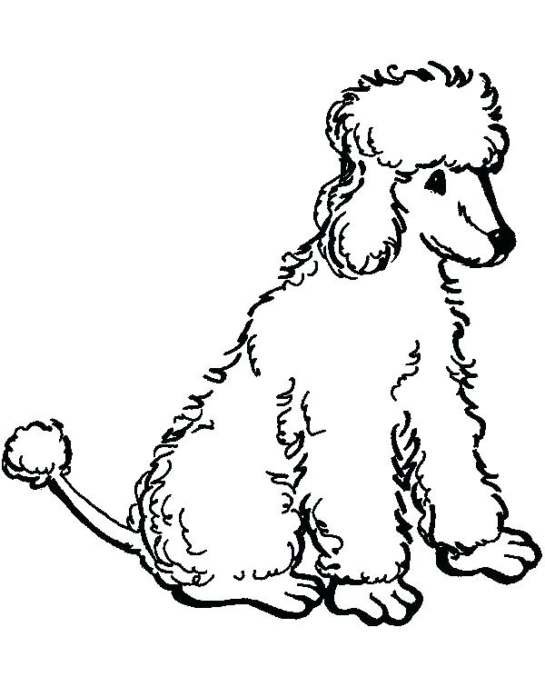 600x756 Poodle Coloring Pages Printable Coloring Pages