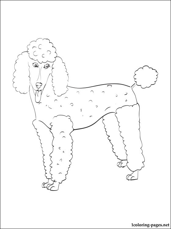 560x750 Poodle Coloring Page Coloring Pages