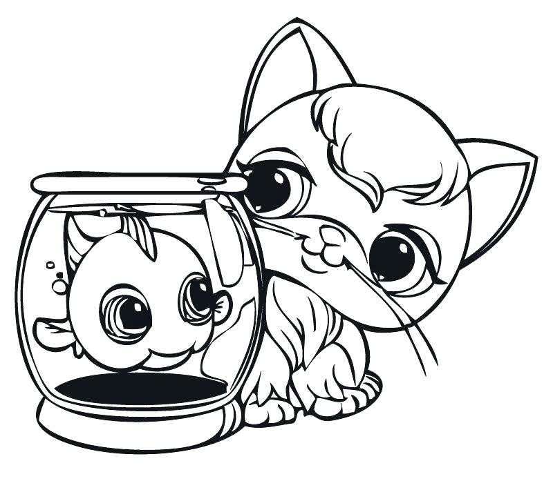 800x697 Store Coloring Page Toy Shopping Coloring Page Pet Store Coloring