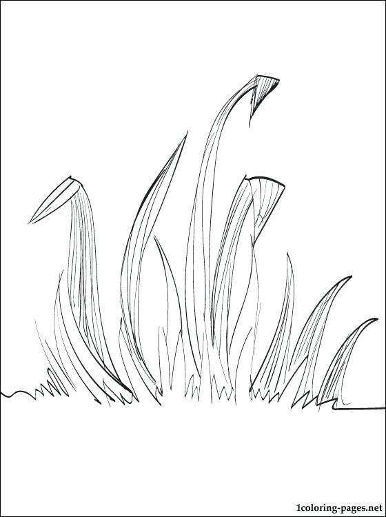 560x750 Track And Field Coloring Pages Grass Coloring Page Coloring Pages