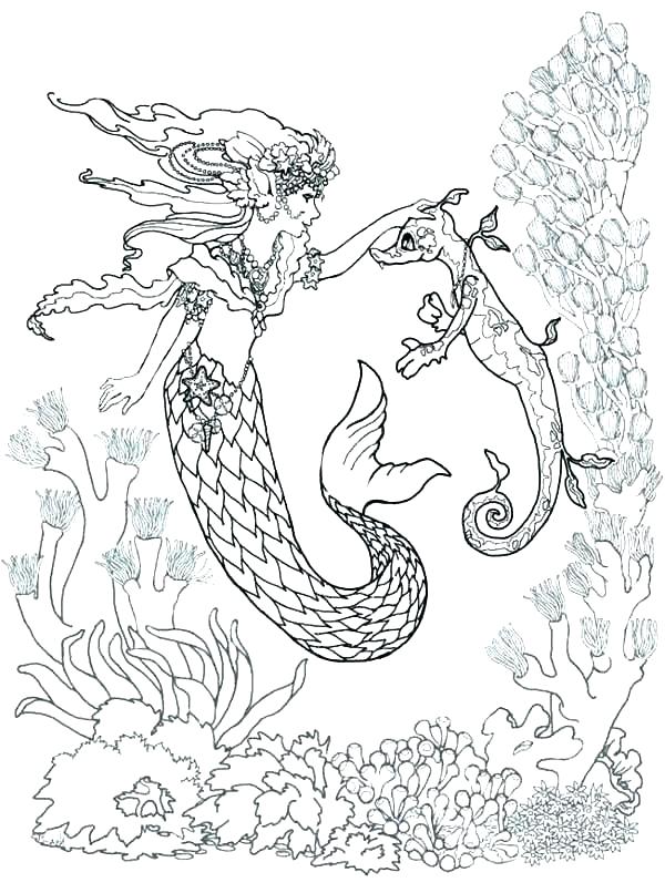 600x806 Horse Coloring Page Fresh Horse Trailer Coloring Pages And Mermaid