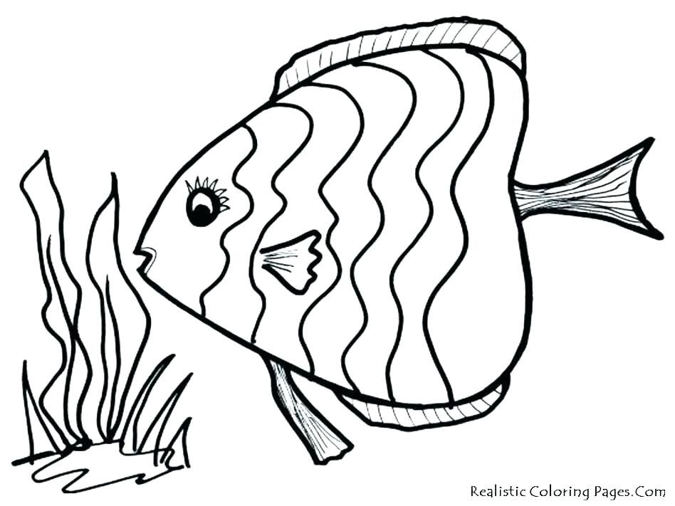 948x711 Fish Coloring Page Treble Clef Coloring Page Bass Coloring Pages