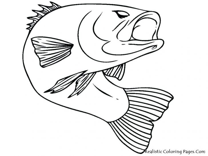 728x546 Treble Clef And Bass Coloring Page Pages Flowers Pdf Fish