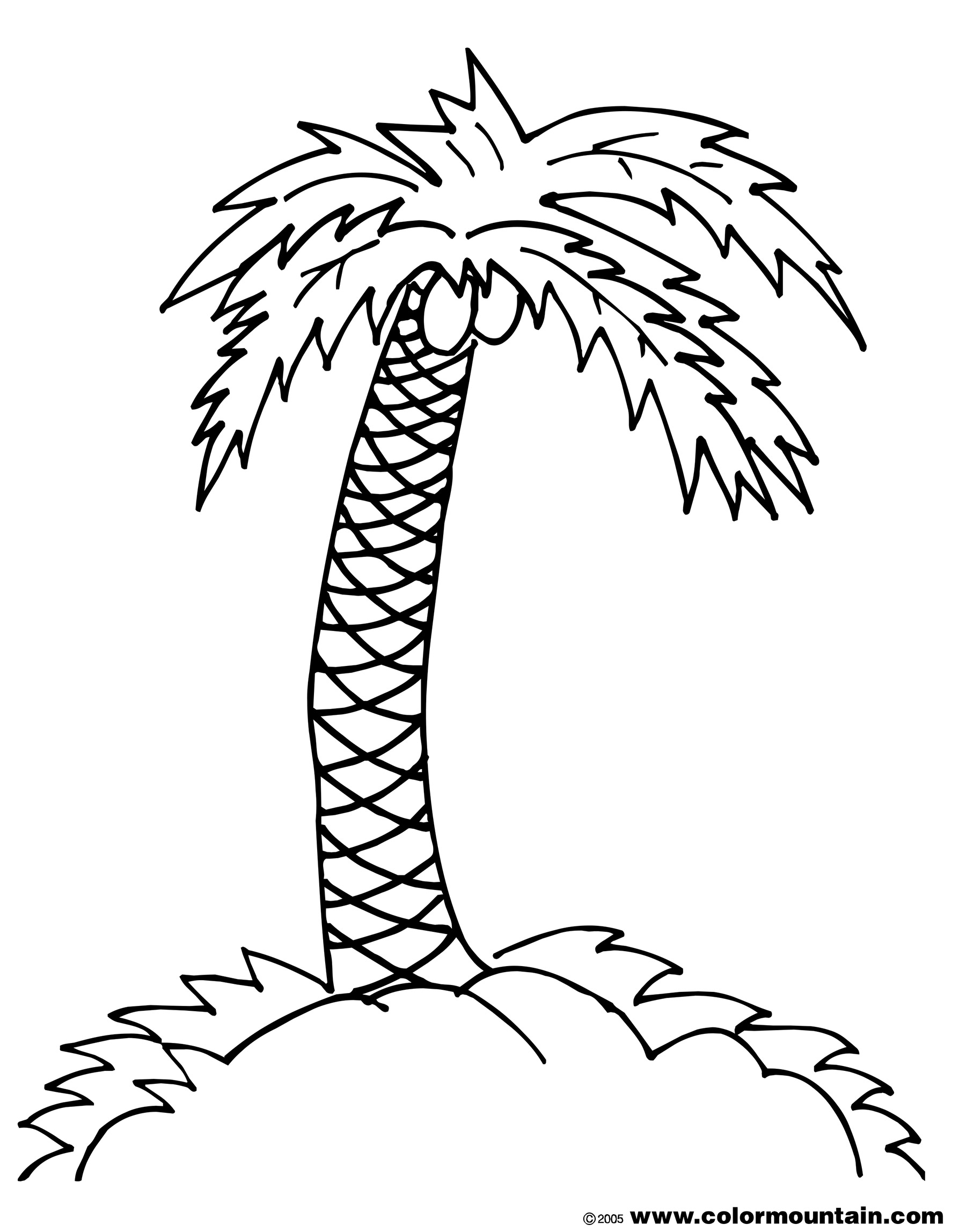 1800x2294 Palm Tree Adult Coloring Pages Gallery Coloring For Kids