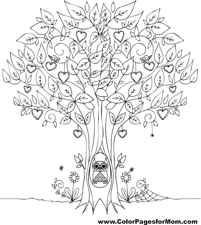 640x719 Best Paint Night Images On Coloring Books