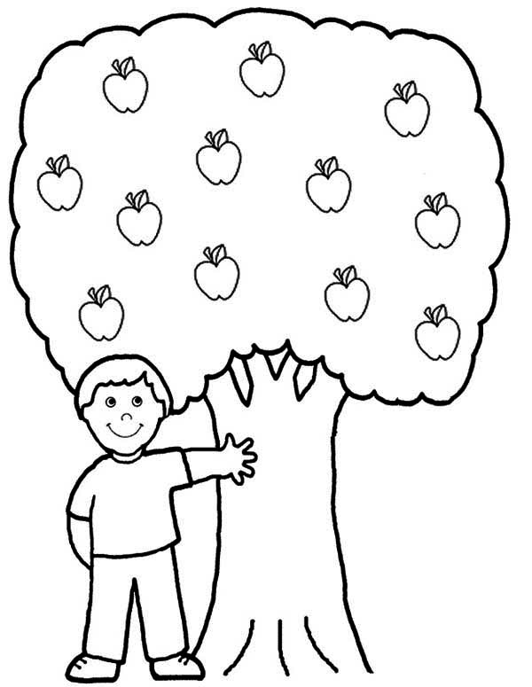 600x775 Exclusive Ideas Apple Tree Coloring Page For The Kids