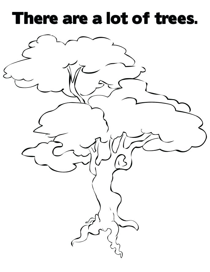 685x886 Free Printable Tree Coloring Pages For Kids Pecan Tree Coloring