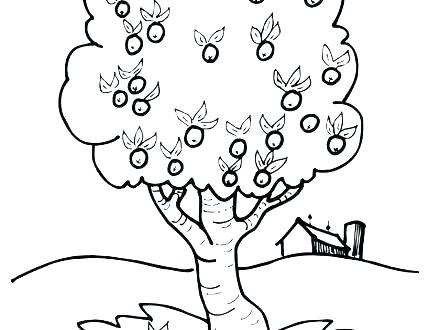 440x330 Coloring Pages Apple Apple Blossom Coloring Pages Coloring Book