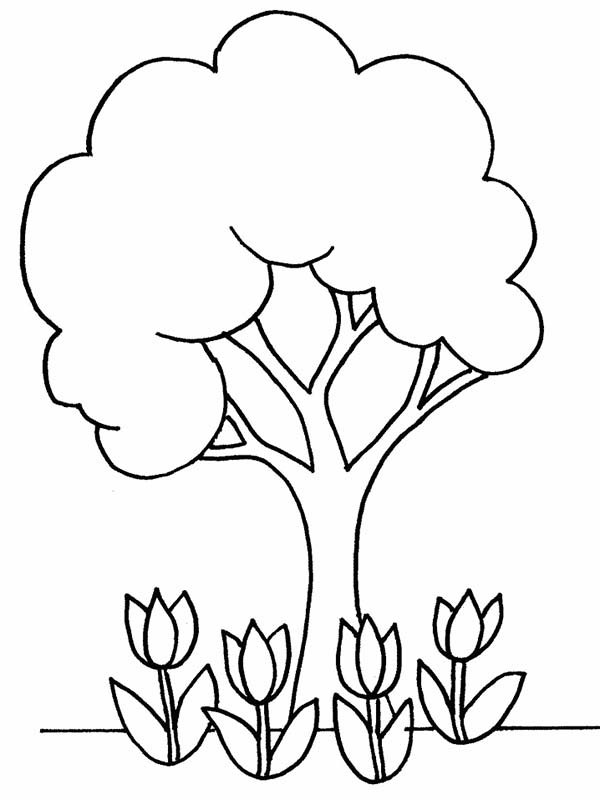 600x800 Coloring Pages Trees Plants And Flowers Plus Tree Of Life In Kids