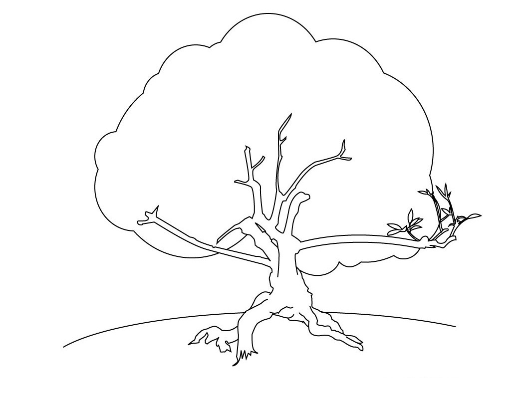 1060x820 Free Printable Tree Coloring Pages For Kids