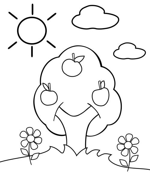500x601 Preschool Coloring Page Apple Tree Attention Span