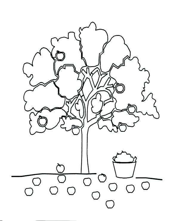 570x738 The Giving Tree Coloring Pages Preschool Coloring Sheets