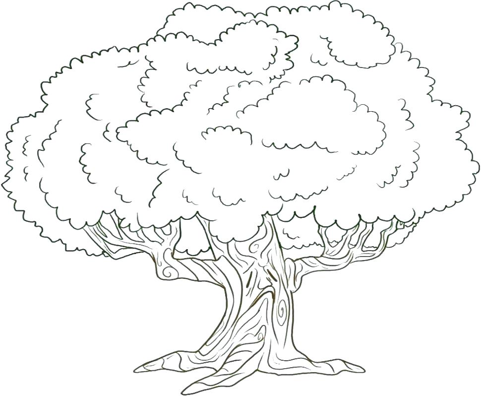 970x798 Coloring Pages Of A Tree Tree Coloring Pages Free Printable