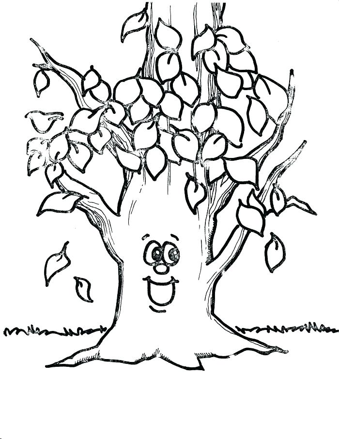 700x906 Printable Tree Coloring Pages Free Printable Tree Coloring Pages
