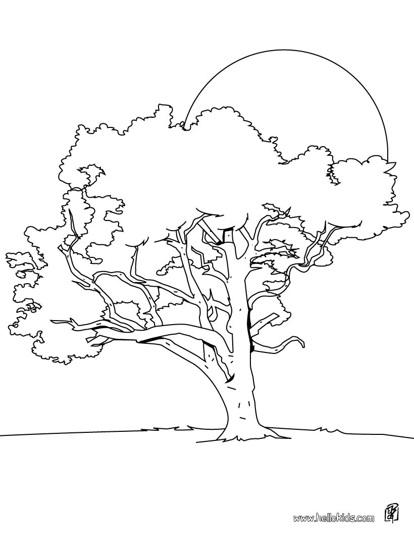 820x1060 Tree Coloring Pages