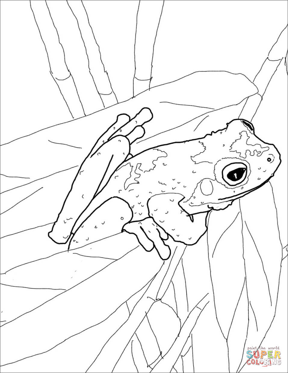 957x1239 Frogs Coloring Pages Free Coloring Pages Tree Frog Coloring Page