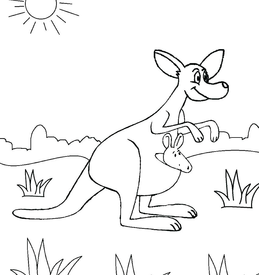 850x900 Kangaroo Coloring Pages Ing S Ing Tree Kangaroo Coloring Pages