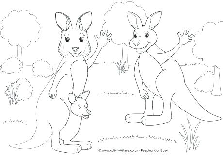460x324 Kangaroo Coloring Pages Kangaroo Coloring Page Kangaroo Colouring
