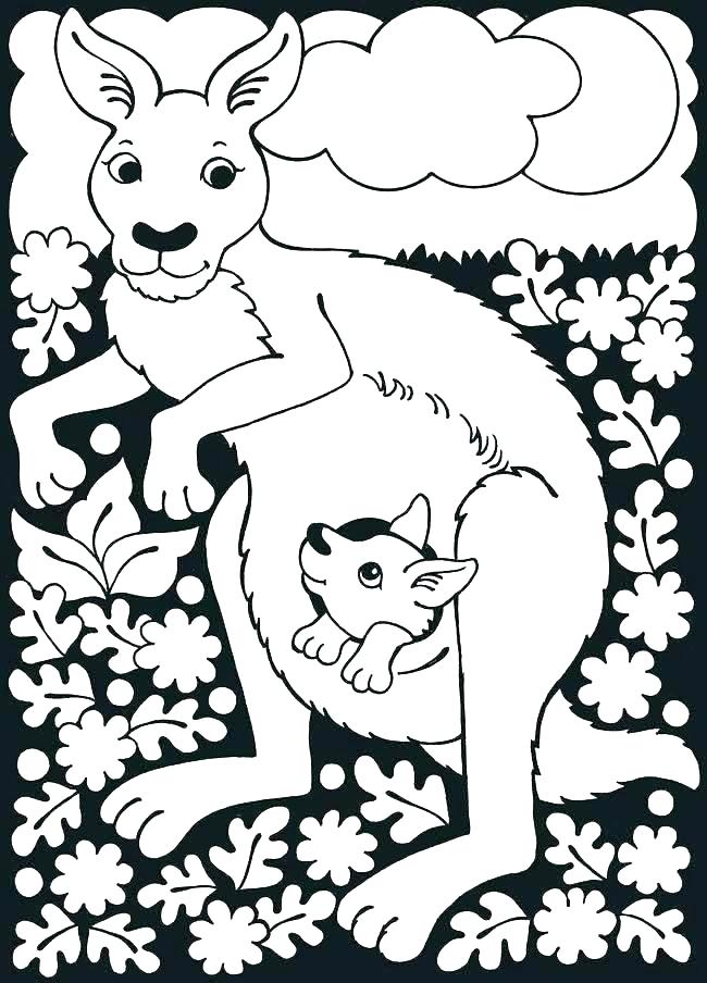 650x904 Kangaroo Coloring Pages Kangaroo Coloring Pages Bear Pictures