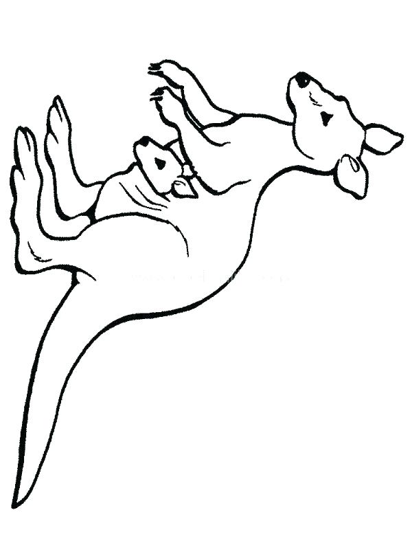 600x800 Kangaroo Coloring Pages Vector Kangaroo Illustration Adult