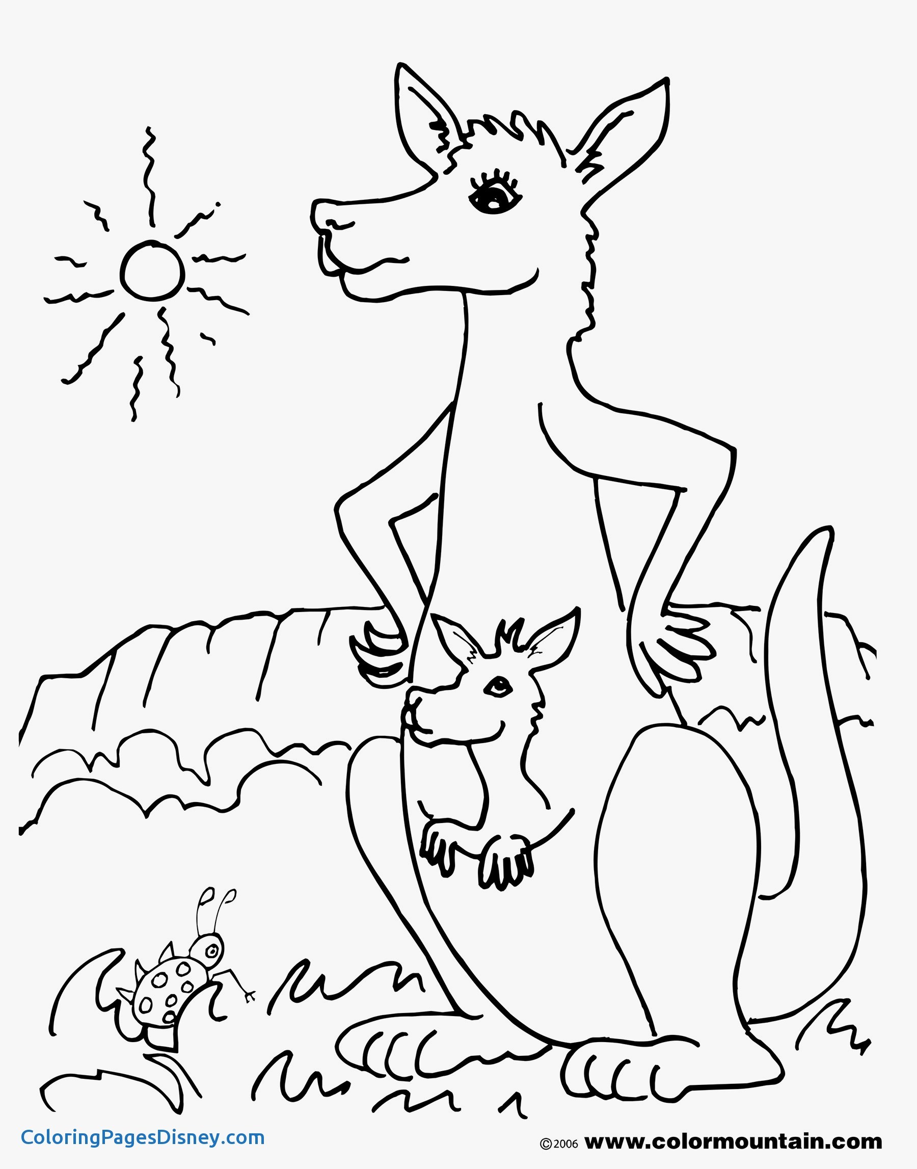 1800x2294 Tree Kangaroo Coloring Pages Luxury Modest Kangaroo Coloring Pages