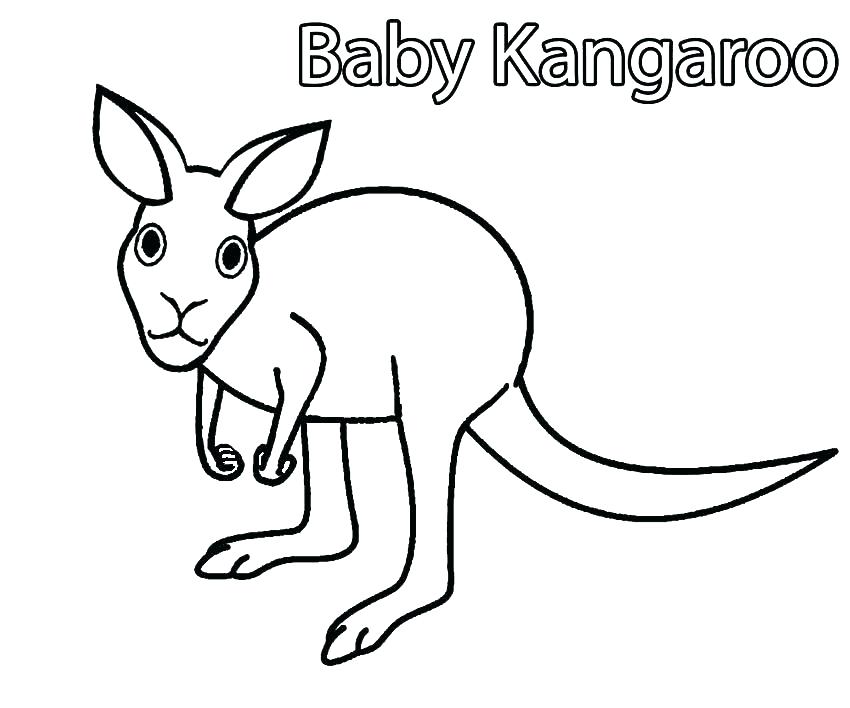 850x708 Tree Kangaroo Coloring Pages Page And Large Special Top Kids Tree
