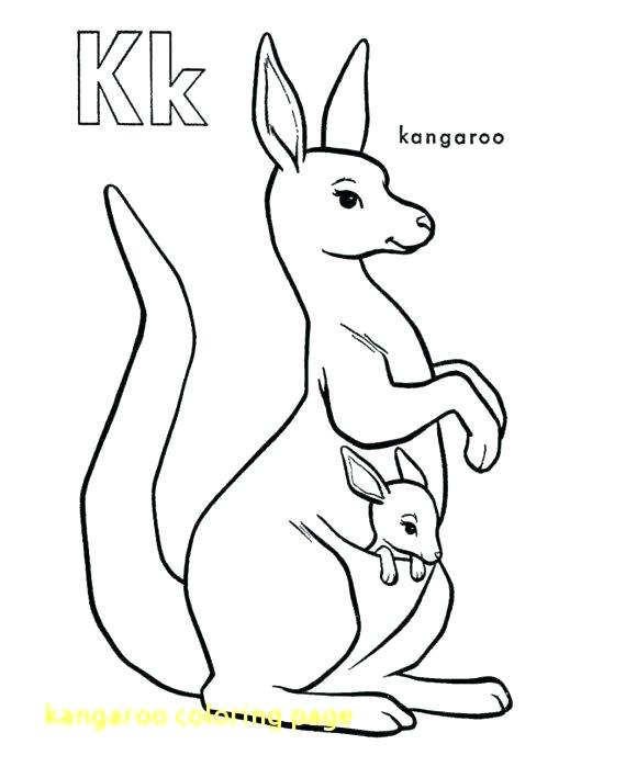 580x709 Coloring Pages Kangaroo
