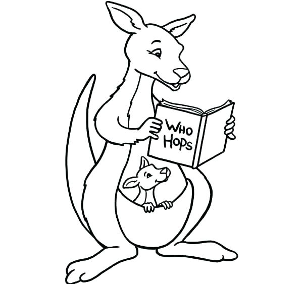 600x563 Kangaroo Coloring Pages